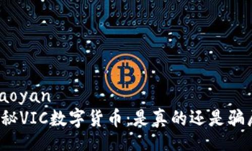 xiaoyan  
揭秘VIC数字货币：是真的还是骗局？