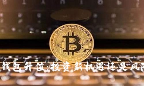 以太坊钱包升值：投资新机遇还是风险挑战？