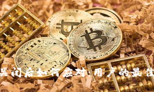 Tokenim关闭后如何应对：用户的最佳解决方案