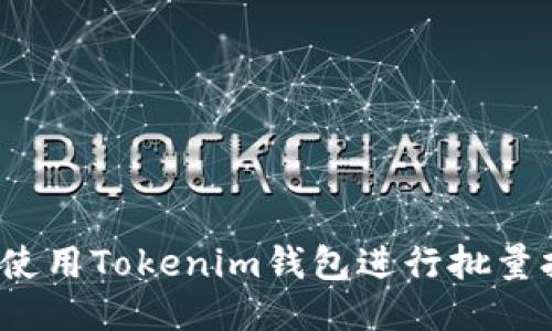 如何使用Tokenim钱包进行批量打币？