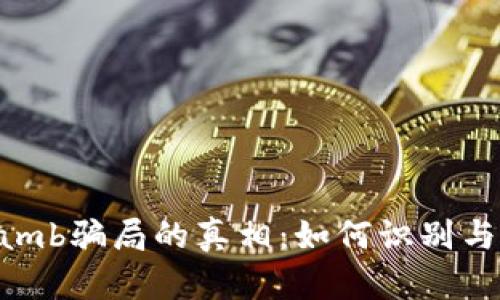 揭开数字货币Lamb骗局的真相：如何识别与保护自己的投资