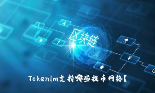 Tokenim支持哪些提币网络？