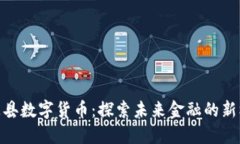 金溪县数字货币：探索未