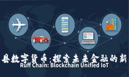 金溪县数字货币：探索未来金融的新机遇