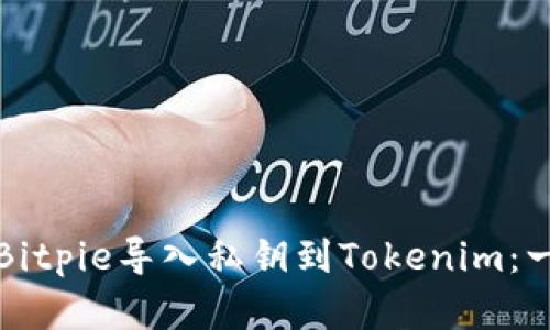 如何通过Bitpie导入私钥到Tokenim：一步步详解