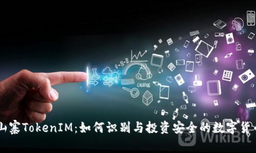 山寨TokenIM：如何识别与投资安全的数字货币