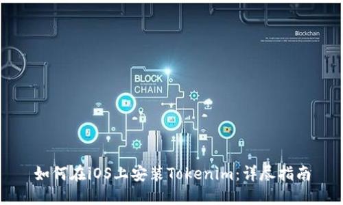 如何在iOS上安装Tokenim：详尽指南