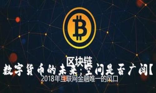 数字货币的未来：空间是否广阔？