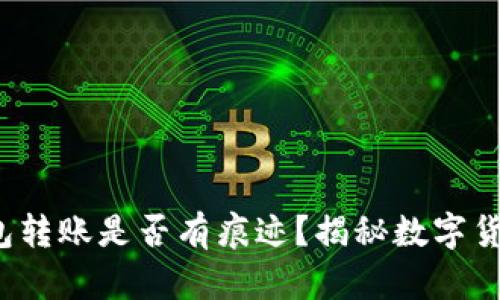 TokenTokenIM钱包转账是否有痕迹？揭秘数字货币世界的隐私问题