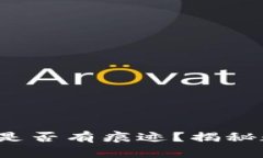 TokenTokenIM钱包转账是否有