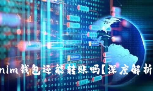 Tokentokenim钱包还能转账吗？深度解析和使用指南