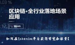 如何在Tokenim平台获得带宽