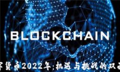 数字货币2022年：机遇与挑