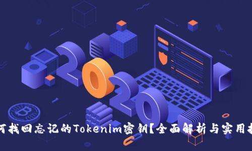 如何找回忘记的Tokenim密钥？全面解析与实用技巧
