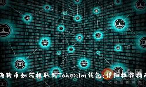 狗狗币如何提取到Tokenim钱包：详细操作指南