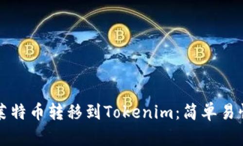 如何将莱特币转移到Tokenim：简单易懂的指南
