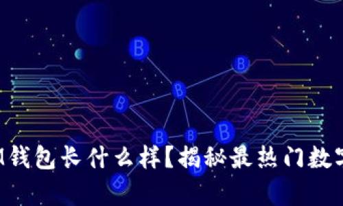 真的TokenTokenIM钱包长什么样？揭秘最热门数字钱包的外观与功能