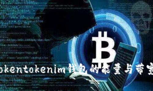 如何获得Tokentokenim钱包的能量与带宽？详细指南
