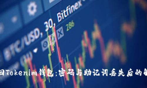 如何找回Tokenim钱包：密码与助记词丢失后的解决方案