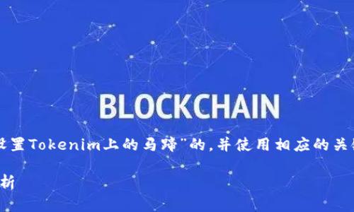 根据您的要求，我将为您提供一个关于“如何设置Tokenim上的马蹄”的，并使用相应的关键词来锁定受众。接下来我将撰写详细的内容。

如何在Tokenim上轻松设置马蹄？详细步骤解析