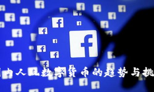 国内人玩数字货币的趋势与挑战