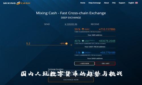 国内人玩数字货币的趋势与挑战