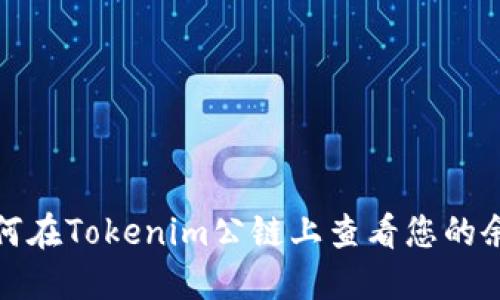 如何在Tokenim公链上查看您的余额
