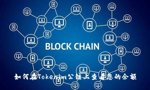 如何在Tokenim公链上查看您的余额