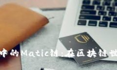 深入探索TokenIM中的Matic链：在区块链世界中的潜