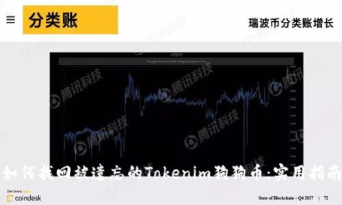 如何找回被遗忘的Tokenim狗狗币：实用指南