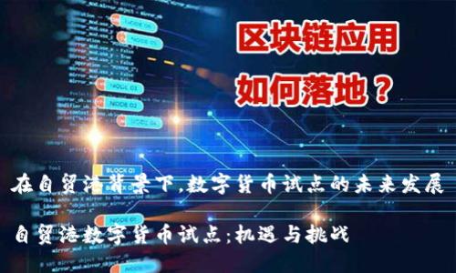 在自贸港背景下，数字货币试点的未来发展

自贸港数字货币试点：机遇与挑战