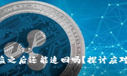 Tokenim资金被盗之后还能追回吗？探讨应对措施与预防策略