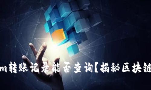 Tokenim转账记录能否查询？揭秘区块链透明性