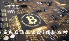 以太坊钱包私钥丢失后该