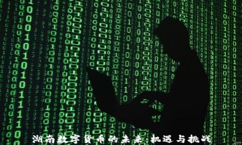 
湖南数字货币的未来：机遇与挑战