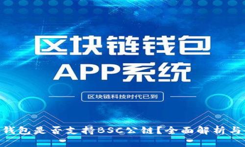 Tokenim钱包是否支持BSC公链？全面解析与使用指南