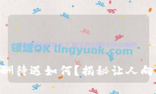 Tokenim的薪酬待遇如何？揭秘让人向往的工作环境