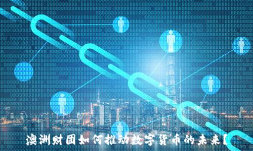  
澳洲财团如何推动数字货币的未来？