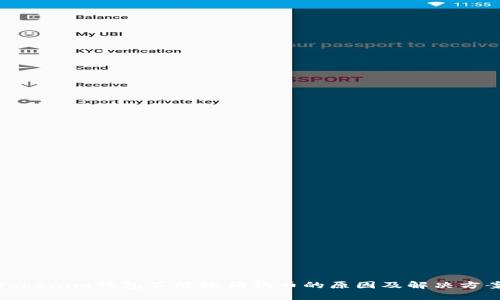 Tokenim钱包不能放狗狗币的原因及解决方案