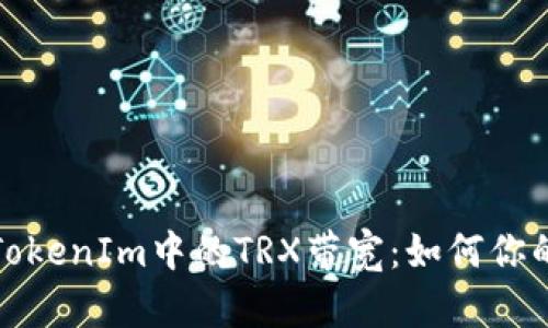 深入解析TokenIm中的TRX带宽：如何你的交易体验