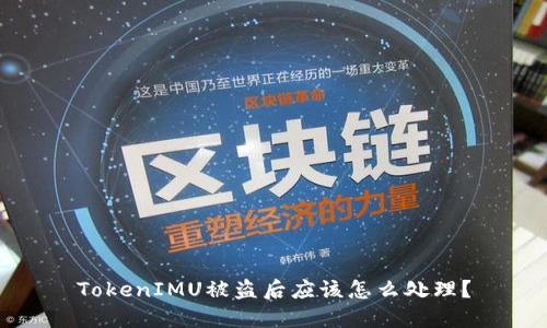 TokenIMU被盗后应该怎么处理？