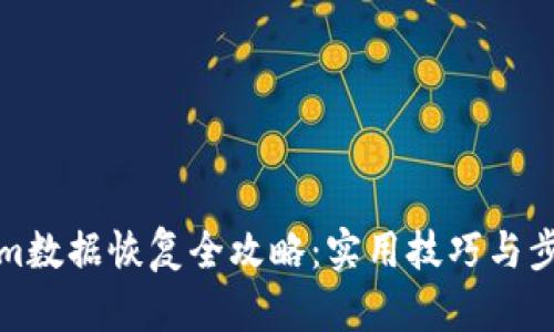 Tokenim数据恢复全攻略：实用技巧与步骤详解