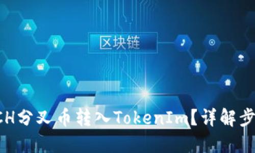 如何将BCH分叉币转入TokenIm？详解步骤与技巧