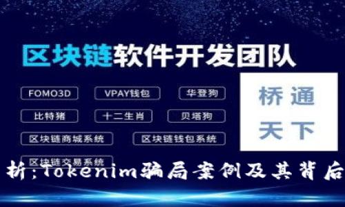 深入分析：Tokenim骗局案例及其背后的教训