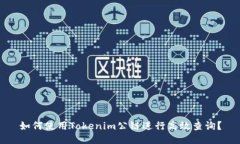 如何使用Tokenim公链进行高