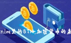 探索Tokenim里的BTM：加密货