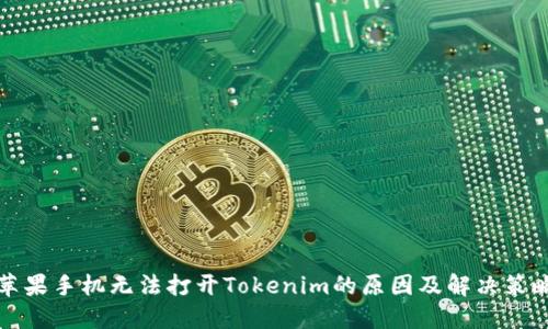 苹果手机无法打开Tokenim的原因及解决策略