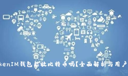 TokenTokenIM钱包能放比特币吗？全面解析与用户使用指南