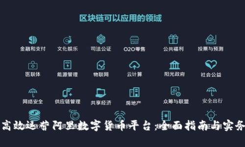 如何高效运营阿里数字货币平台：全面指南与实务分析