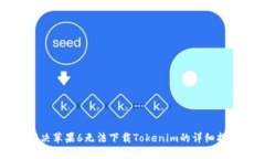 解决苹果6无法下载Tokeni